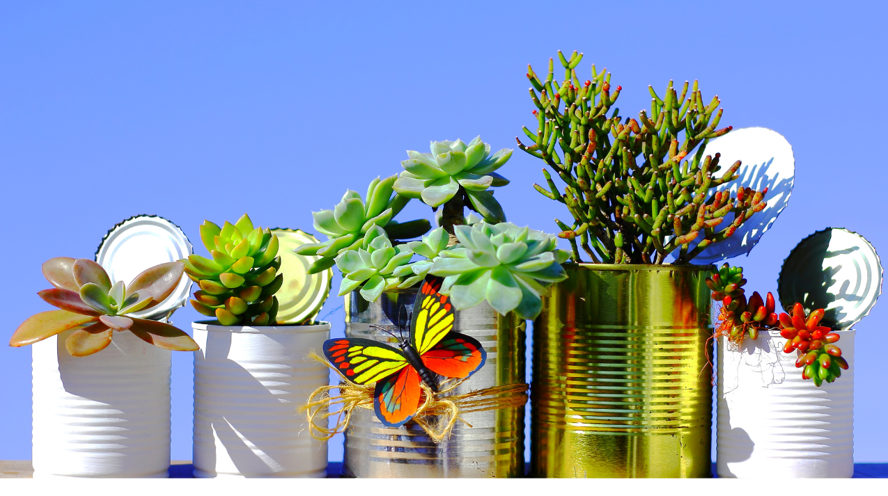 Deep Recycle À Propos | Deep Recycling Solutions